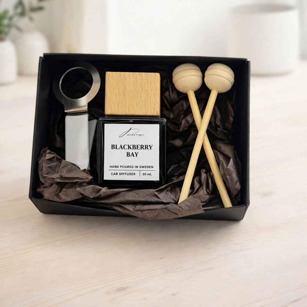 Car Fragrance Gentleman Sticks 10 ml