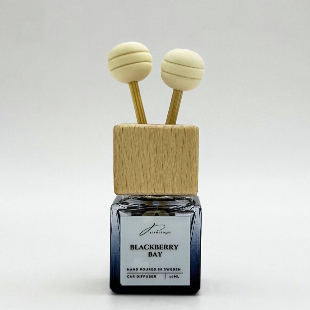 Car Fragrance Gentleman Sticks 10 ml