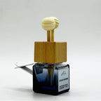 Car Fragrance Gentleman Sticks 10 ml