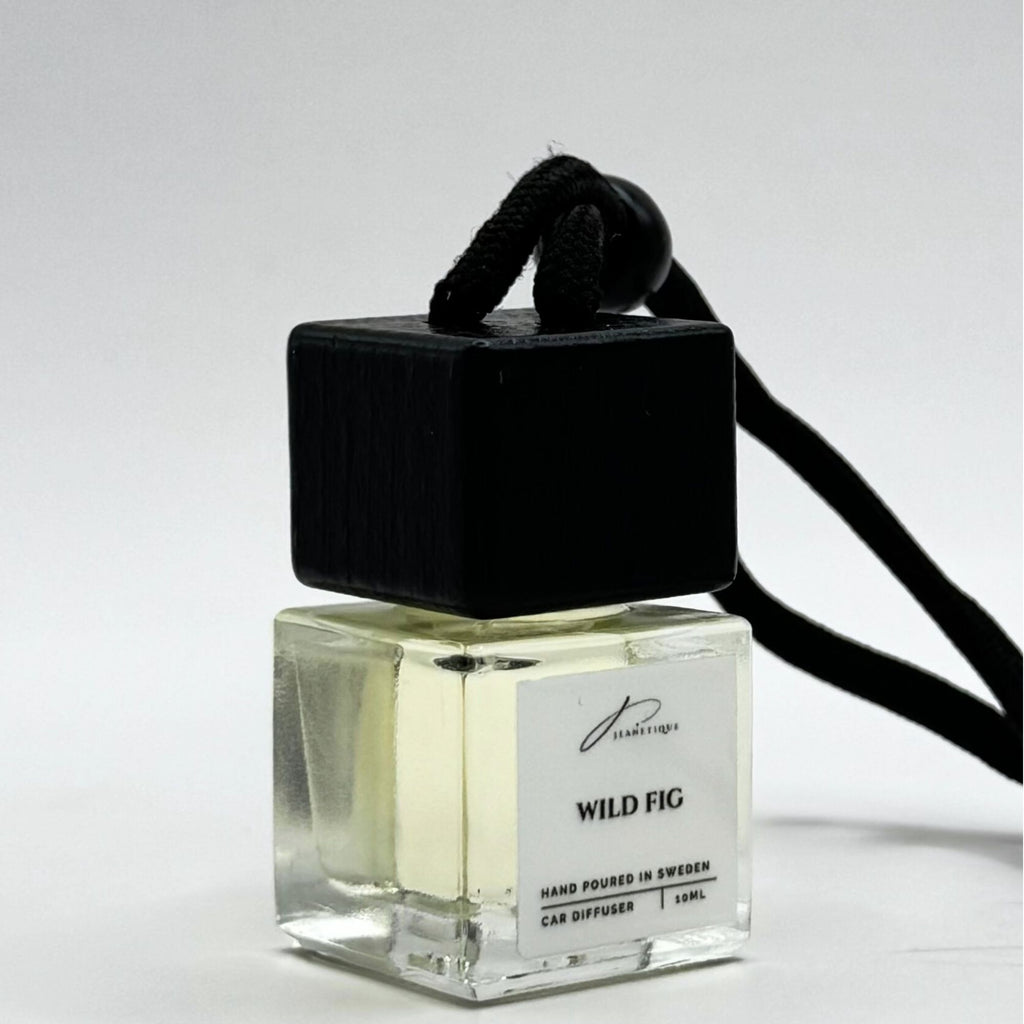 Car Fragrance Icon Sticks 10 ml